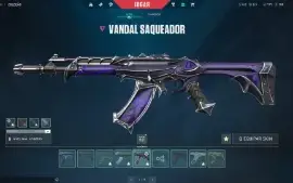 Conta Valorant Com Skins Nfa, Envio Imediato