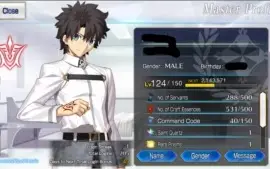 Conta Fate/Grande Order NA 3SSR + 14SR