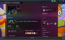 CONTA csgo ak cruzada , 920 horas , insigna major 2021, gtav