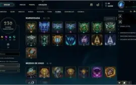 215 SKINS,D4 SOLO/DUO E FLEX,CONTEM E-MAIL,CONTA DESDE O N.A