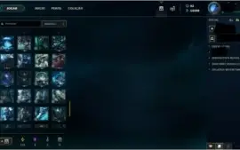 215 SKINS,D4 SOLO/DUO E FLEX,CONTEM E-MAIL,CONTA DESDE O N.A