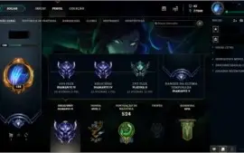 215 SKINS,D4 SOLO/DUO E FLEX,CONTEM E-MAIL,CONTA DESDE O N.A