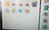 Conta HW com swith para Pala e Kina 93 com Card Orc Baby