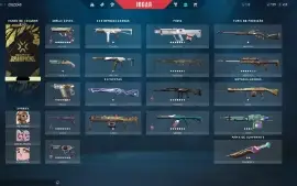 Conta Valorant Quase 1k Gasto (988,00)