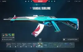 Conta Valorant Quase 1k Gasto (988,00)