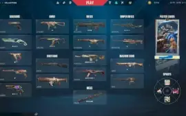 Conta Com R$ 450,00 Gastos F/A Com Faca, Vandal, Phantom Etc