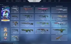 CONTA VALORANT 4 FACAS RARAS/RUÍNA/ORIGEM/RGX/ÍON/BLASTX/+