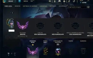 Mestre com 25 Champs e 2 Skins +11 Fragmentos