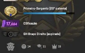 Conta Cs2 Prime- 17,6K Premier- Com Medalhas (860hrs)