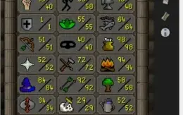 conta runescape oldscholl skiler/pure 130 dias member