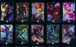 Conta master 22 LP, 40 skins, handlevel