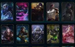 Conta master 22 LP, 40 skins, handlevel
