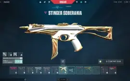 Conta Valorant muitas Skins