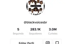 Conta Tiktok 280K seguidores 3.0M curtidas
