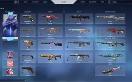 CONTA VALORANT 1K REAIS INVESTIDO, PINGENTES RADIANTE (4)