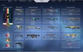 Conta Valorant - Várias Skins e Pacotes de Skins