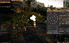 Conta black desert 675gs, recheada de items para sair HOJE