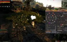 Conta black desert 675gs, recheada de items para sair HOJE