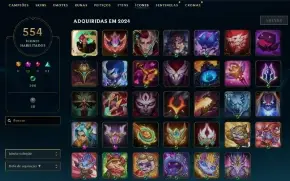Conta de League of Legends, Unico Dono.