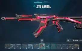 Conta Valoarant Com Skin Melhor Preço De Mercado