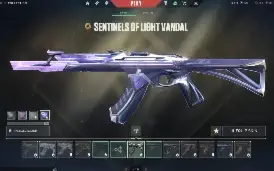 Conta Valorant Full Acesso Com Skins De Vandal