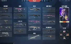 Conta Valorant Full Acesso Com Skins De Vandal