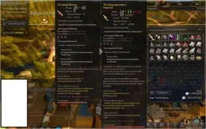 Conta Black Desert SA - Mago - LVL 61