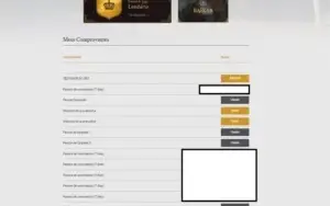Conta Black Desert SA - Mago - LVL 61