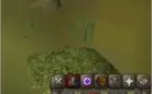 Conta OSRS quase tudo 99