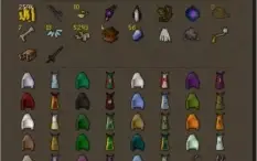 Conta OSRS quase tudo 99