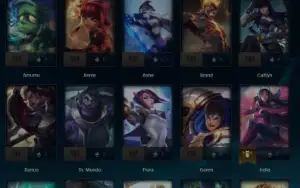 Unranked- LvL 31 - 28 Champ- 4 Skins( Full Acess/ HandLvL))