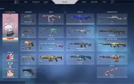 Conta Valorant, Level 160 varias skins