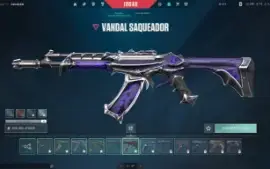 Conta de valorant com 7 skins de vandal, 3 facas, e outros