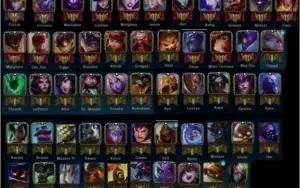 CONTA PLATINA 5 SOLO FLEX PLATINA 2