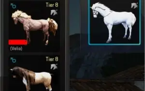 Wizard 61 237AP - Traje de Cash - Black Desert Brasil BDO