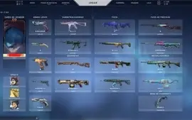 Conta Valorant Muitas Skins + Kit Champions 2022