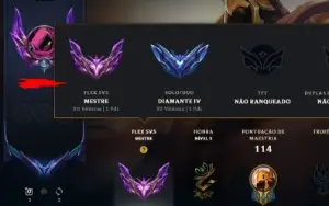 Conta Mestre Flex E Diamante Solo Duo Padrão Enjoy
