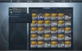 Conta Steam 14 Jogos | Cs Go, Left 4 Dead 2 E Outros.