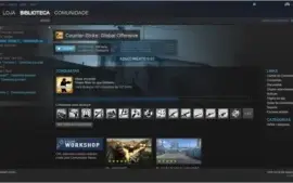 Conta Steam 14 Jogos | Cs Go, Left 4 Dead 2 E Outros.
