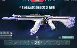 Conta De Valorant Com Mais De 3K Gastos