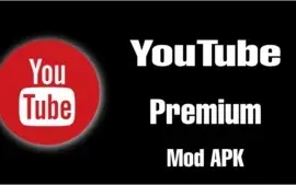 YouTube Premium (Sem propaganda/Tela minimizada/Vitalício)