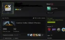 Conta Steam 16/17 Anos Medalhas 5/10 anos (COM PRIME)