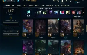 Ferro 4 com 60 Champs e 10 Skins