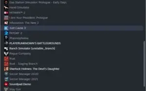 CONTA STEAM- FIFA 21,RANCH SIMULATOR E ETCS