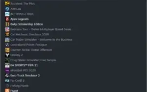CONTA STEAM- FIFA 21,RANCH SIMULATOR E ETCS