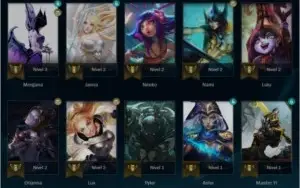 Conta Main Suporte lvl 20 + Anniesario