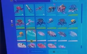 Conta de fortnite rara