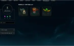 LVL 29 quase 30, 14champ, mts frags 1 skin temmo squad ómega