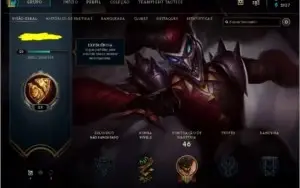 LVL 29 quase 30, 14champ, mts frags 1 skin temmo squad ómega