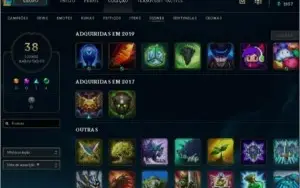 LVL 29 quase 30, 14champ, mts frags 1 skin temmo squad ómega